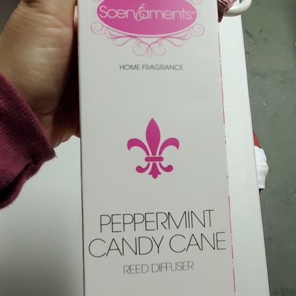 🆕️ Peppermint Candy Cane Reef Diffuser - Picture 3 of 3